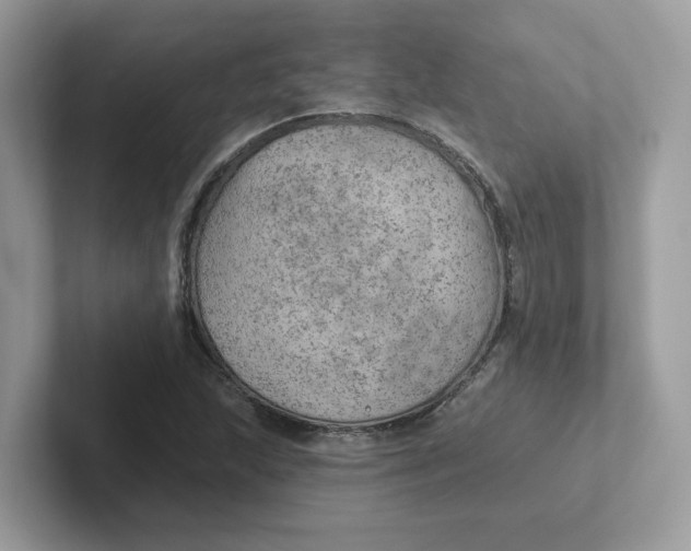 X0000101471215200807281013