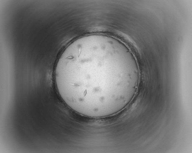 X0000101471217200807281013