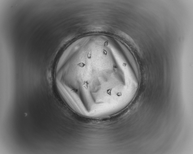 X0000101471218200807281013