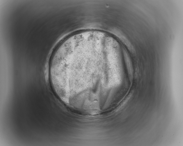 X0000101471224200807281013