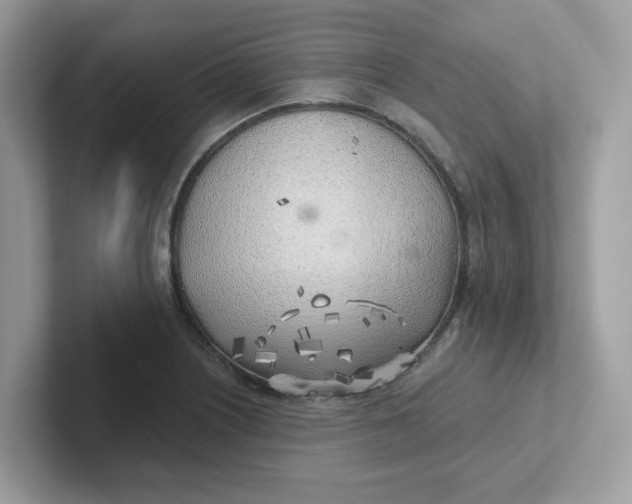 X0000101471226200807281013