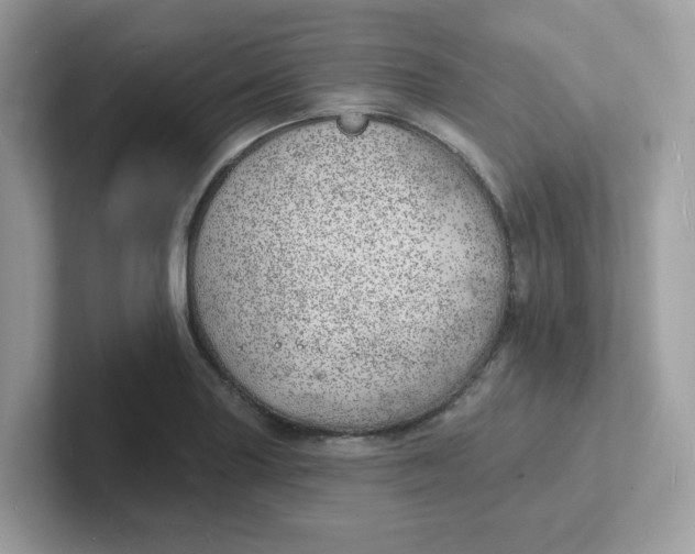 X0000101471227200807281013