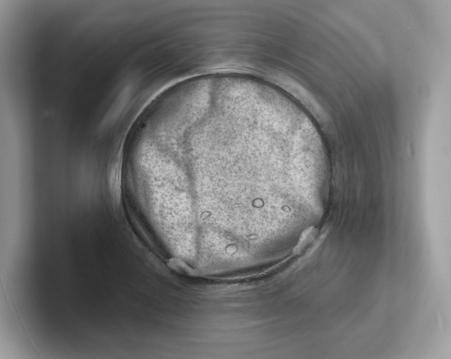 X0000101471228200807281013