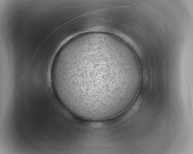 X0000101471230200807281013