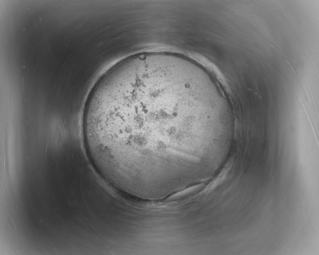 X0000101471231200807281013