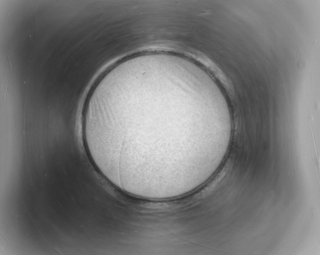 X0000101471232200807281013