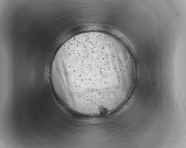 X0000101471233200807281013