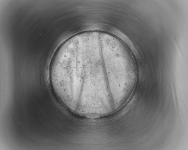 X0000101471234200807281013