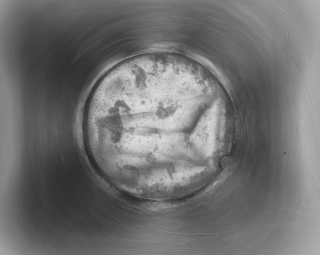 X0000101471235200807281013