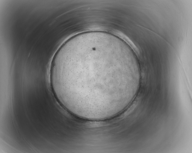 X0000101471236200807281013