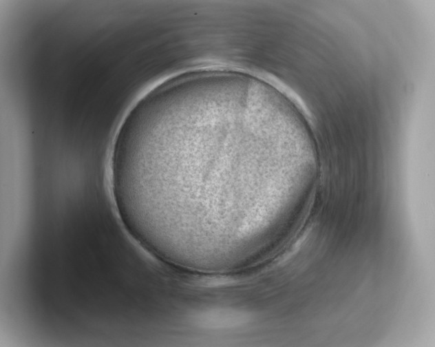 X0000101471239200807281013