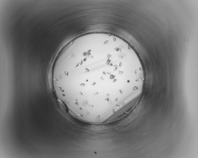 X0000101471242200807281013