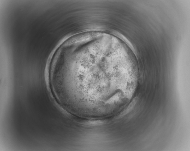 X0000101471243200807281013