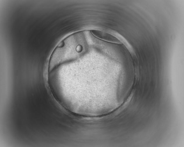 X0000101471244200807281013