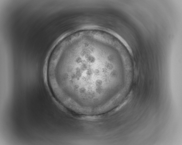 X0000101471245200807281013