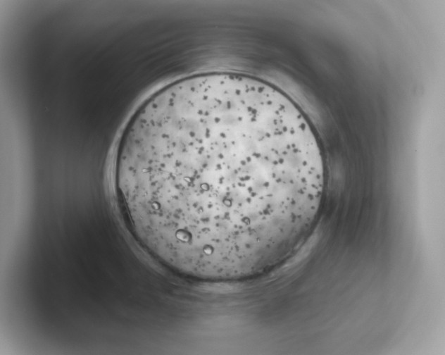 X0000101471246200807281013