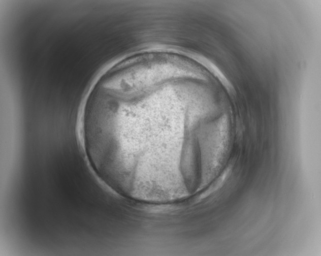 X0000101471247200807281013