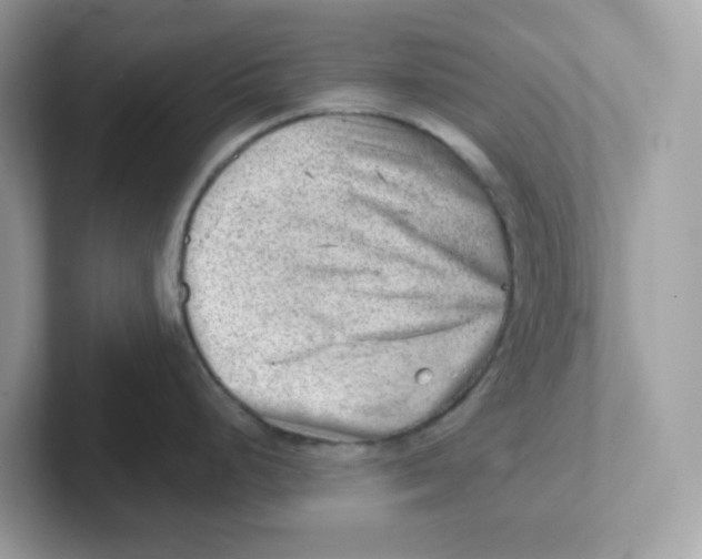 X0000101471248200807281013