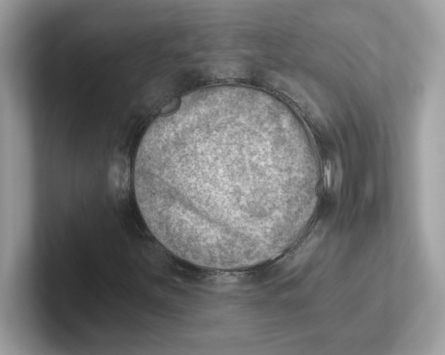 X0000101471251200807281012