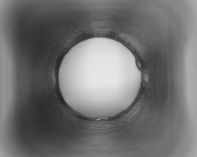 X0000101471252200807281012