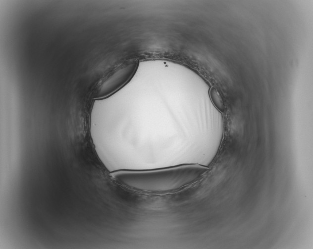 X0000101471253200807281012