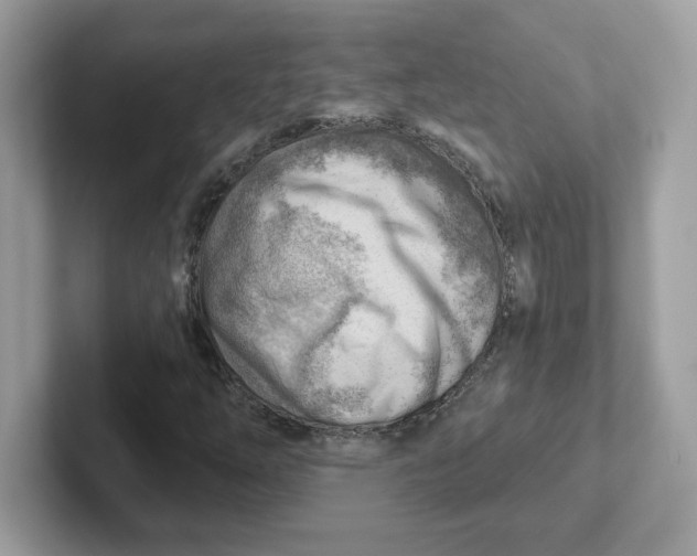 X0000101471254200807281012