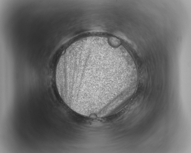 X0000101471255200807281012