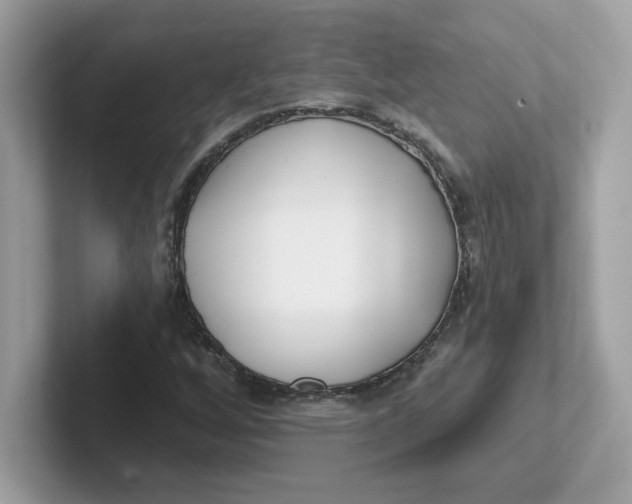 X0000101471256200807281012