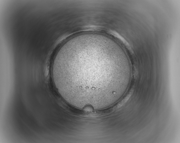 X0000101471259200807281012