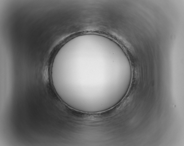 X0000101471262200807281012