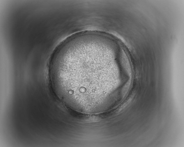 X0000101471263200807281012