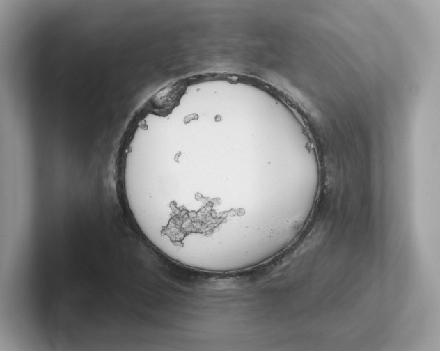 X0000101471264200807281012