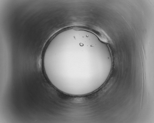 X0000101471268200807281012