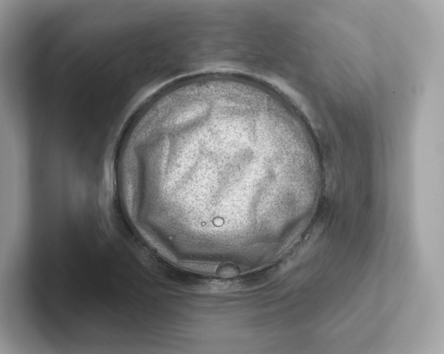 X0000101471271200807281012