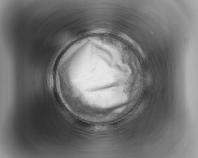 X0000101471274200807281012