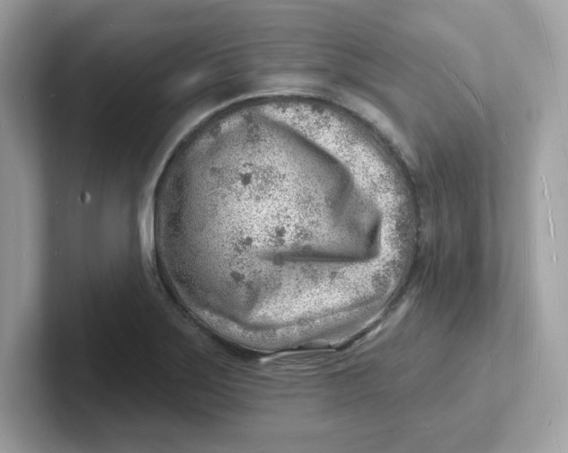 X0000101471275200807281012