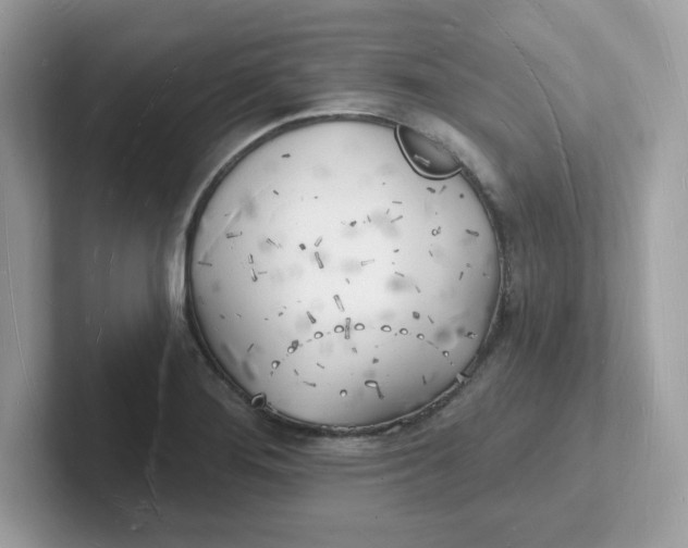 X0000101471276200807281012