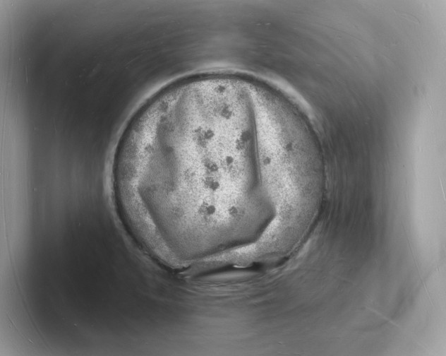 X0000101471279200807281012