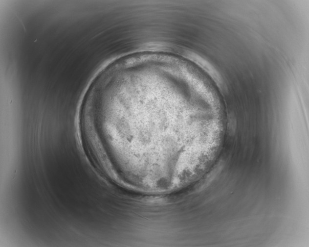 X0000101471283200807281012