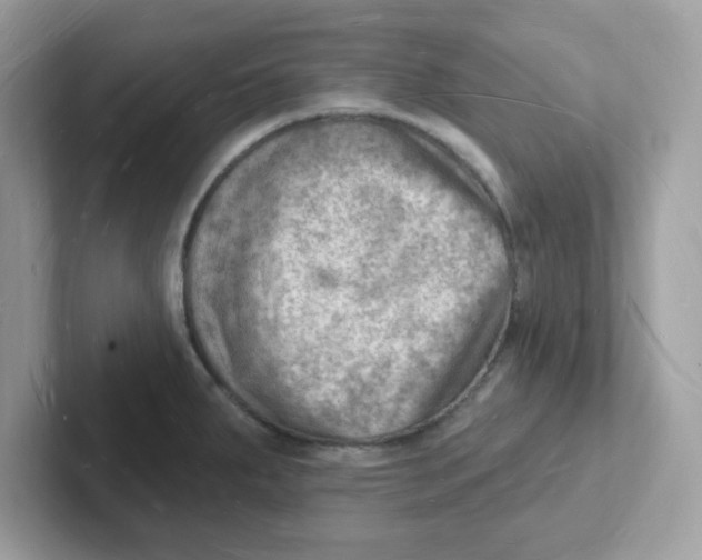 X0000101471287200807281012