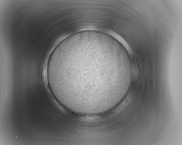 X0000101471290200807281012