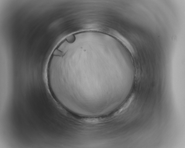 X0000101471291200807281012