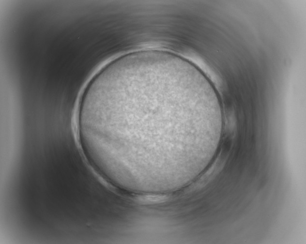 X0000101471294200807281012