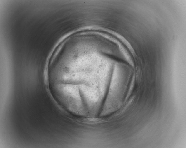 X0000101471295200807281012