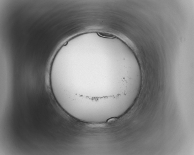 X0000101471296200807281012