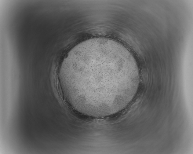 X0000101471297200807281011