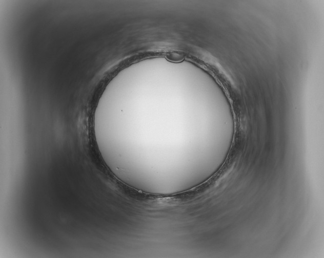 X0000101471304200807281011