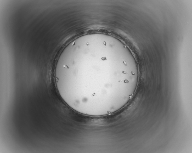 X0000101471313200807281011