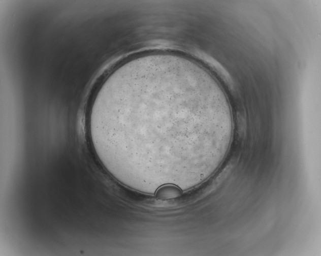 X0000101471318200807281011