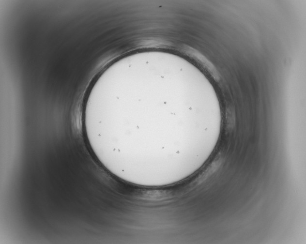 X0000101471322200807281011